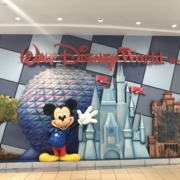 Travel Agent Kalamazoo Disney World